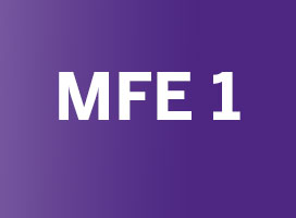 MFE 1 Students